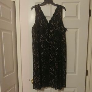 Loft Lace Dress